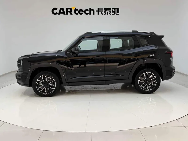 Haval Dagou PLUS New Energy — фото 6