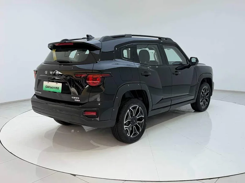 Haval Dagou PLUS New Energy — фото 7