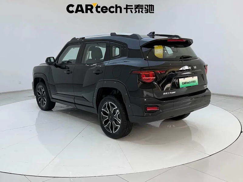 Haval Dagou PLUS New Energy — фото 8