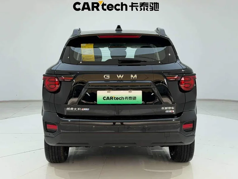 Haval Dagou PLUS New Energy — фото 9