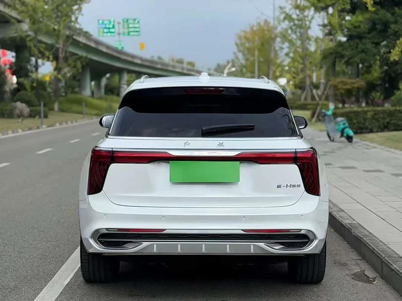 Hongqi E-HS9 — фото 12