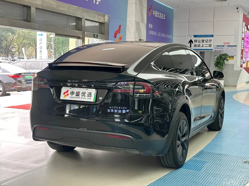 Tesla Model X — фото 11