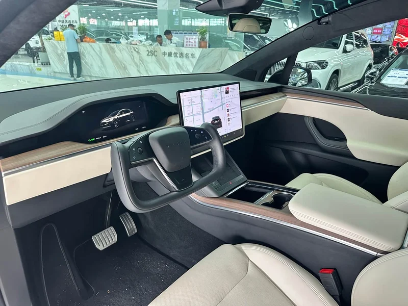 Tesla Model X — фото 14