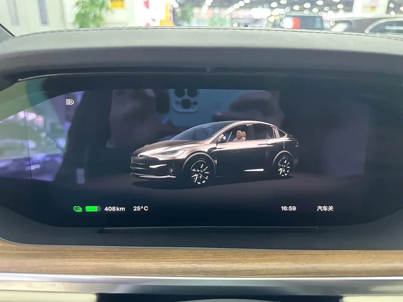 Tesla Model X — фото 18