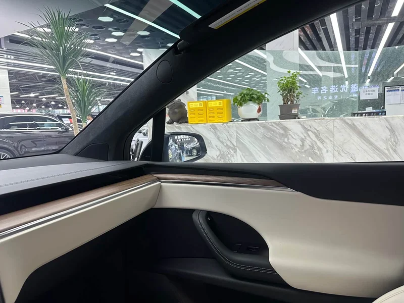 Tesla Model X — фото 20