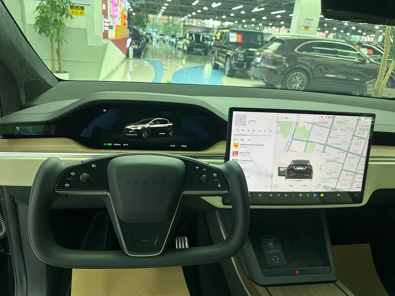 Tesla Model X — фото 21
