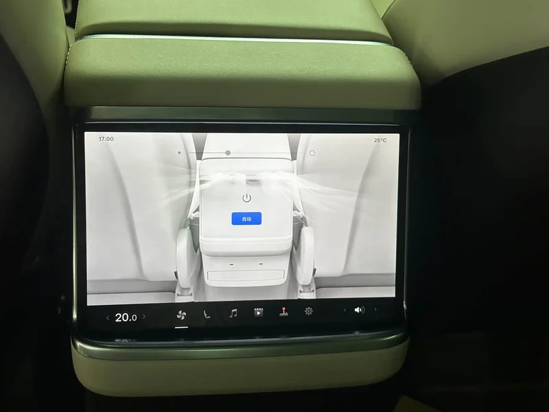 Tesla Model X — фото 23
