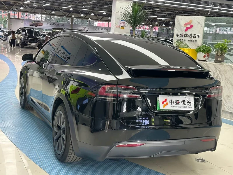 Tesla Model X — фото 31