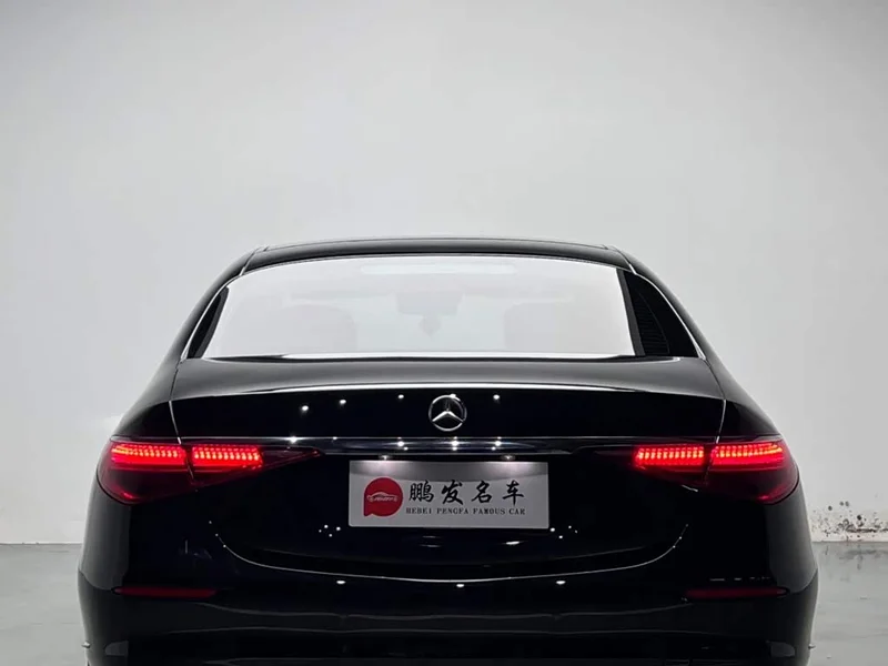 Mercedes-Benz S-Class — фото 16