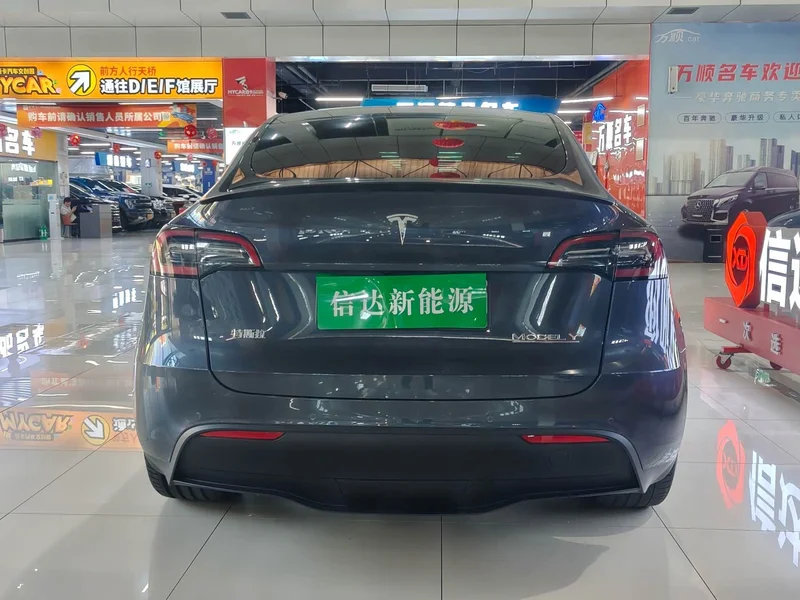 Tesla Model Y — фото 14