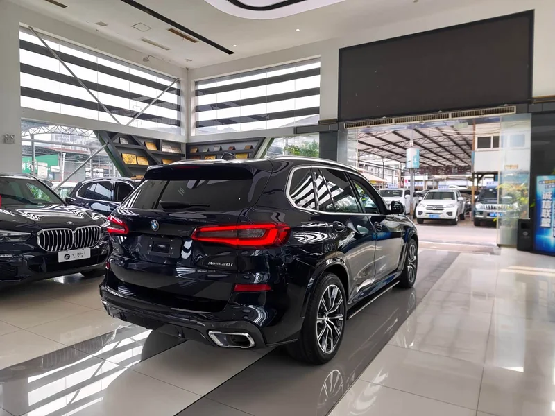 BMW X5 (Imported) — фото 6