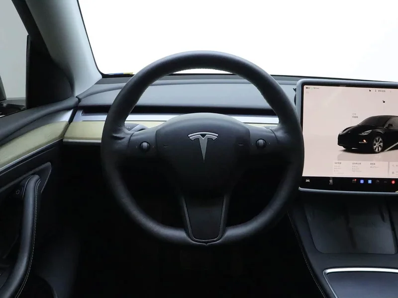 Tesla Model Y — фото 15