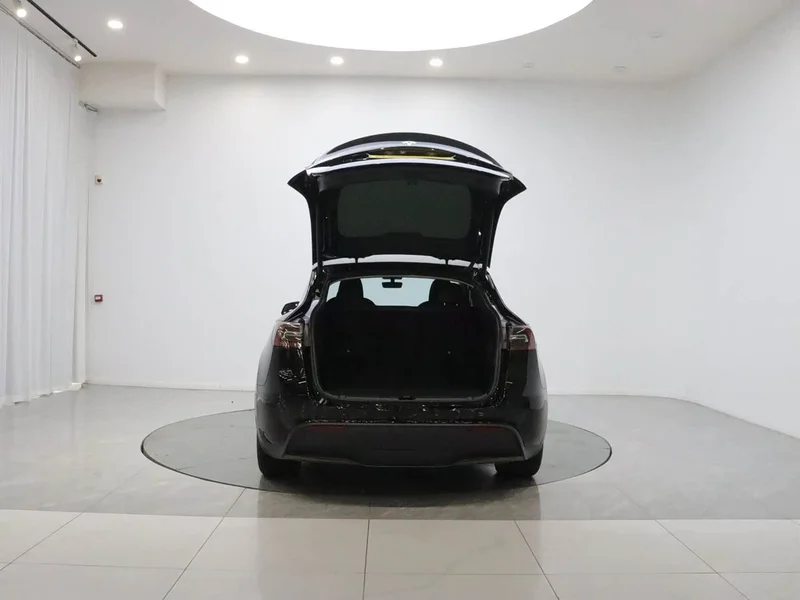 Tesla Model Y — фото 20