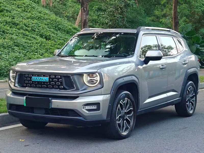 Haval Dagou PLUS New Energy — фото 1