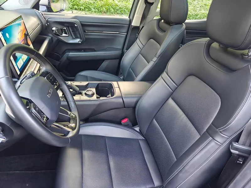 Haval Dagou PLUS New Energy — фото 14