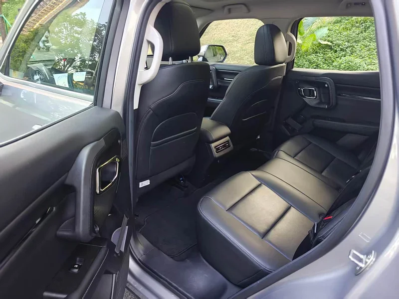 Haval Dagou PLUS New Energy — фото 17