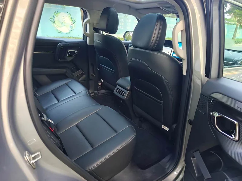 Haval Dagou PLUS New Energy — фото 18