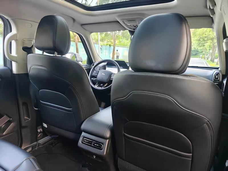 Haval Dagou PLUS New Energy — фото 19