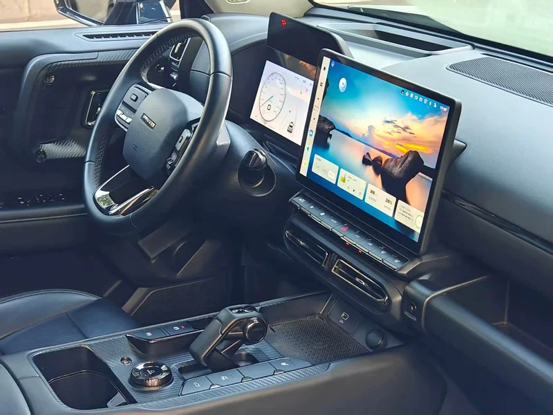 Haval Dagou PLUS New Energy — фото 20