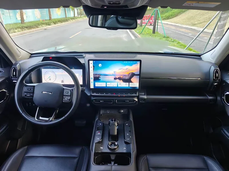 Haval Dagou PLUS New Energy — фото 22