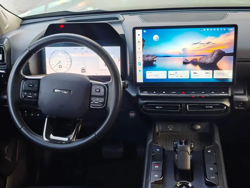 Haval Dagou PLUS New Energy — фото 23