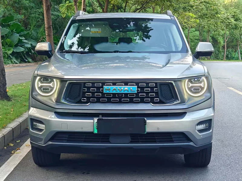 Haval Dagou PLUS New Energy — фото 3
