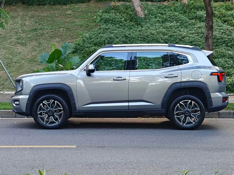 Haval Dagou PLUS New Energy — фото 6