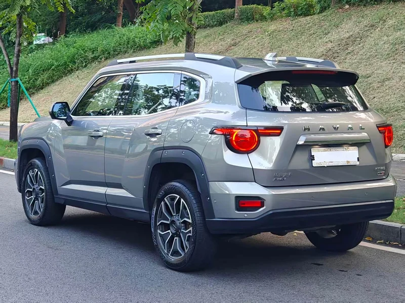 Haval Dagou PLUS New Energy — фото 7