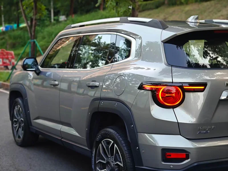 Haval Dagou PLUS New Energy — фото 8