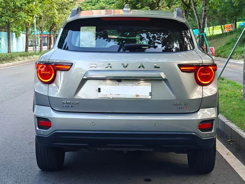 Haval Dagou PLUS New Energy — фото 9