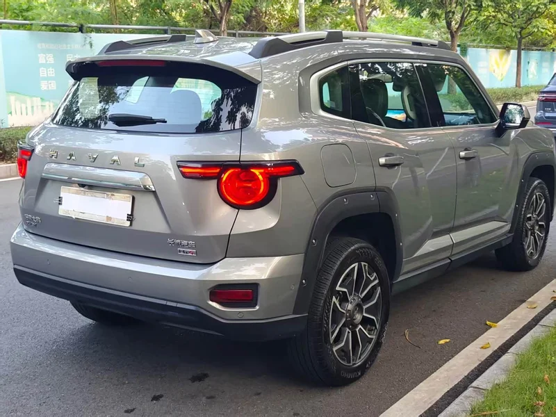 Haval Dagou PLUS New Energy — фото 10