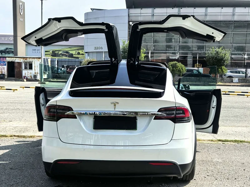 Tesla Model X — фото 6