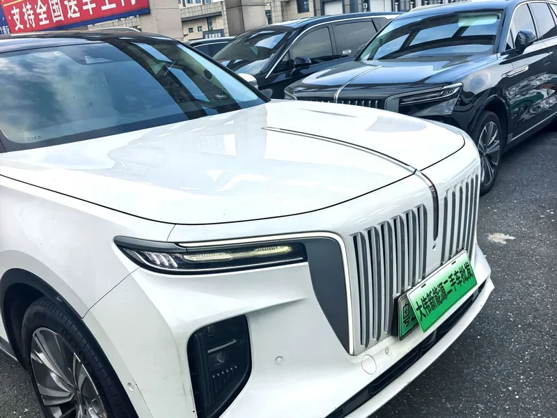 Hongqi E-HS9 — фото 6