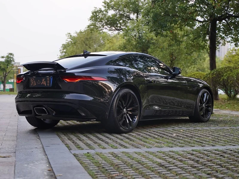 Jaguar F-TYPE — фото 9