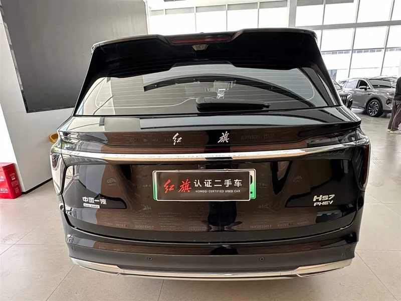 Hongqi HS7 PHEV — фото 7