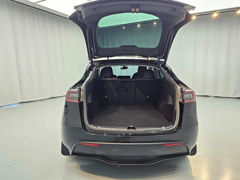 Tesla Model Y — фото 11