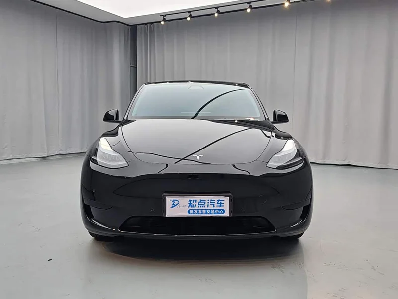 Tesla Model Y — фото 2
