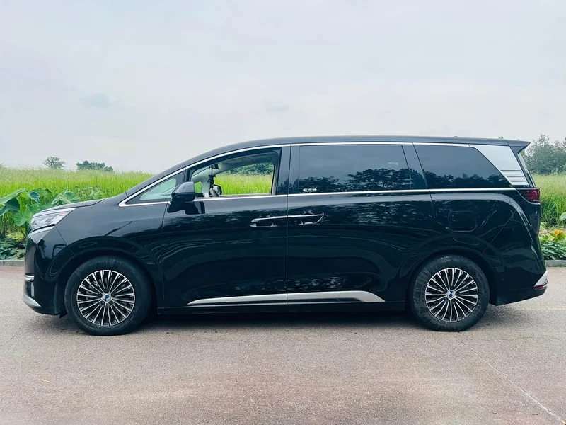 Denza D9 — фото 4