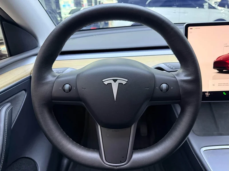 Tesla Model Y — фото 10
