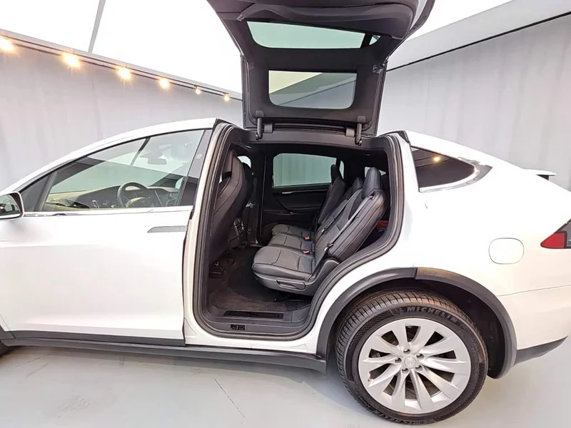 Tesla Model X — фото 11