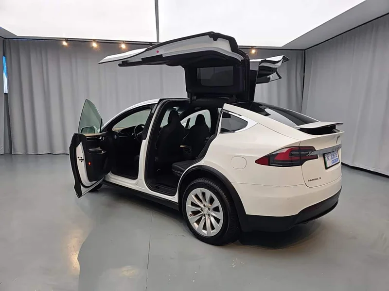 Tesla Model X — фото 21