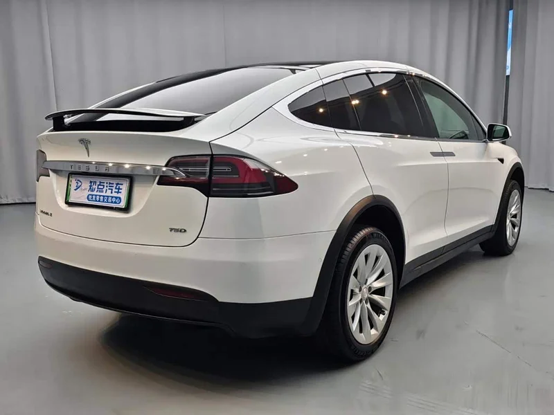 Tesla Model X — фото 6