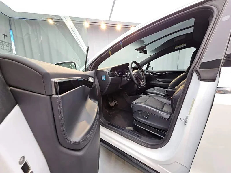Tesla Model X — фото 10