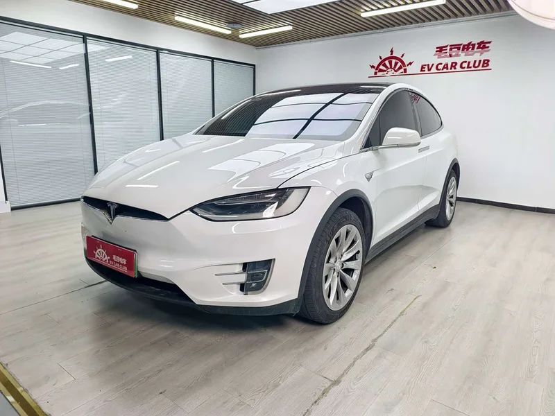 Tesla Model X — фото 1