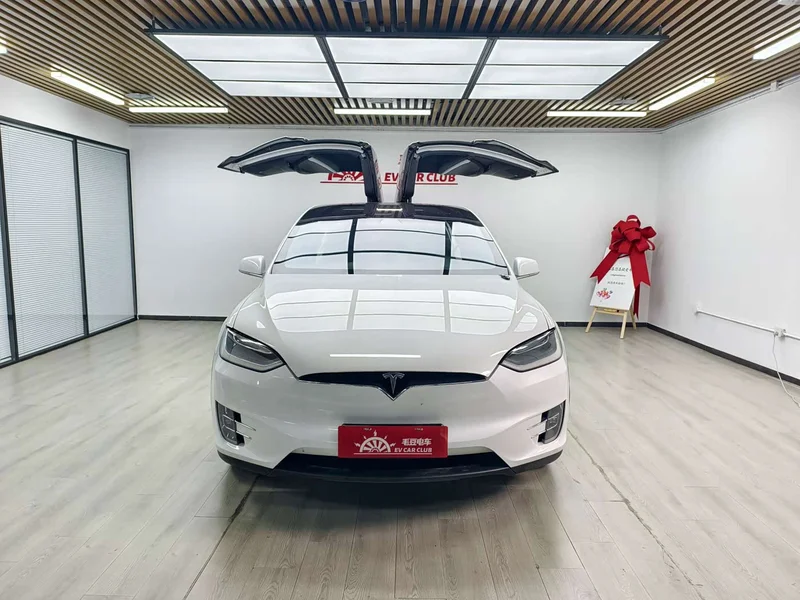 Tesla Model X — фото 10