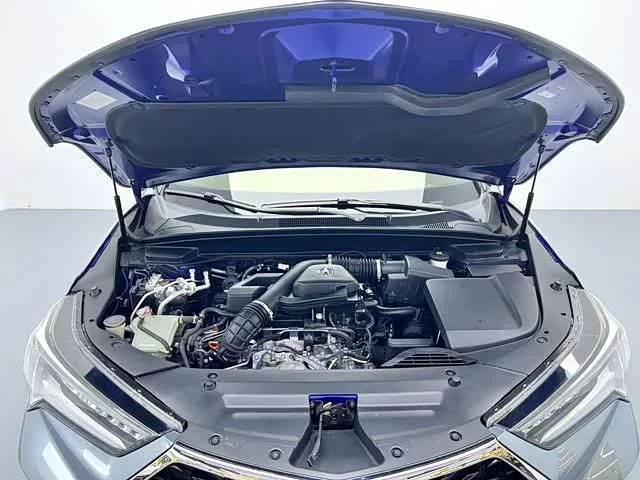Acura CDX — фото 17