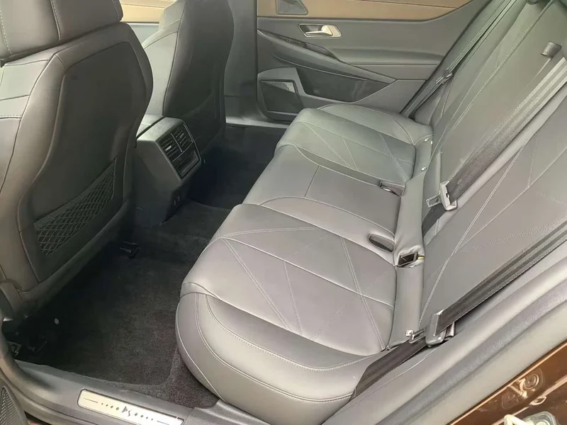 DS 9 New Energy — фото 6