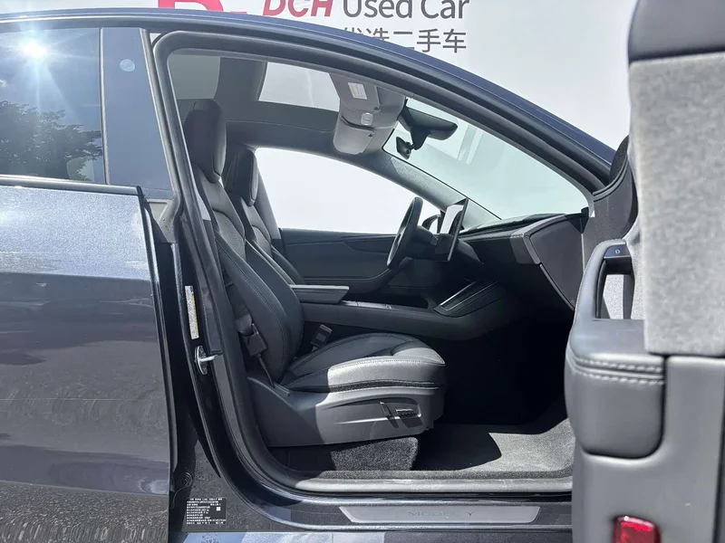 Tesla Model Y — фото 10