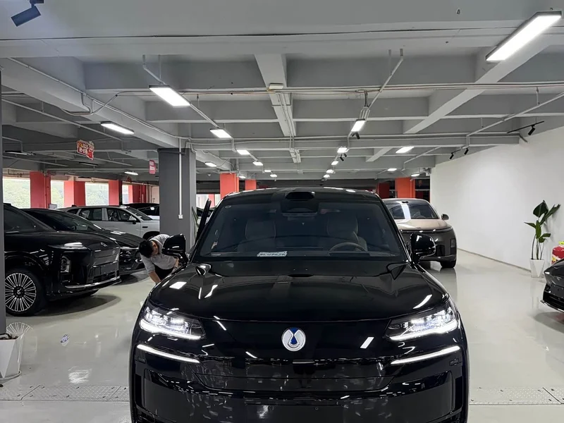 Denza N9 — фото 2