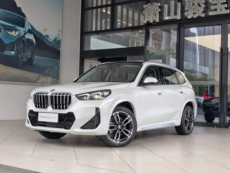 BMW X1 — фото 1